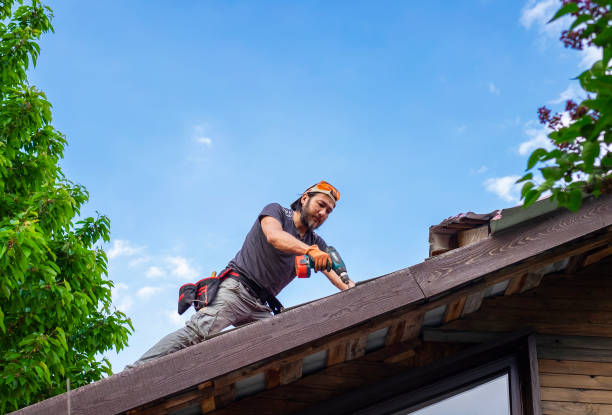 Best Roof Moss and Algae Removal  in Buies Creek, NC